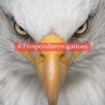 WhatsApp Image 2025-05-15 at 19.28.34 (1) WhatsApp Image 2025-05-15 at 19.28.34 (1)